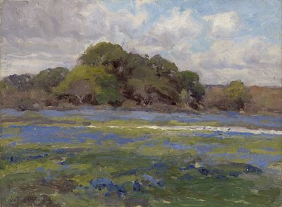 A Road through the Bluebonnets by Julian Onderdonk